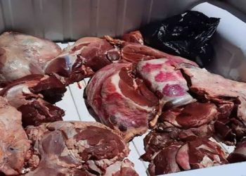 حجز 450 كيلوغراما من اللحوم الفاسدة بطنجة