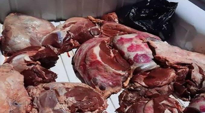 حجز 450 كيلوغراما من اللحوم الفاسدة بطنجة