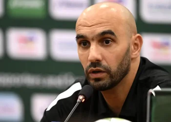 خطة تجديد شاملة للمنتخب الوطني تستهدف مونديال 2026