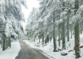 تساقطات ثلجية وزخات رعدية ورياح عاصفية قوية مرتقبة بعدد من مناطق المملكة