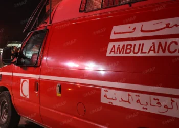 مصر_ع ستة أشخاص وإصابة ثمانية آخرين في حادثة سير بإقليم الجديدة