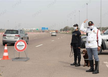 الدرك الملكي يوقف 12 متورطاً في رشق السيارات بالحجارة تزامناً مع تنقل جماهير الوداد