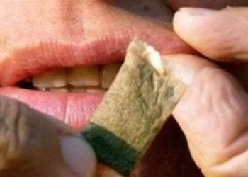 مخدر“الكالة” تغزو إنستغرام وتستهدف الشباب خفية