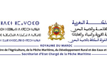 تقسيم مجالي جديد لأسطول الصيد البحري المغربي