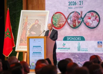 وزير الفلاحة: توقعات بإنتاج 90 مليون قنطار من الحبوب لموسم 2025-2026 بفضل تحسن التساقطات
