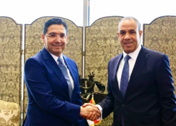بوريطة يجري مباحثات مع وزير الخارجية المصري