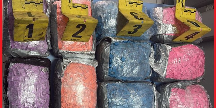 طنجة المتوسط: إحباط تهريب 19 ألف قرص “إكستازي” قادمة من أوروبا