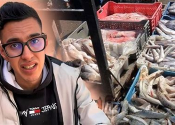 مطالب بتعويض 100 مليون سنتيم في قضية “مول الحوت” تؤجل الحكم إلى 29 الجاري