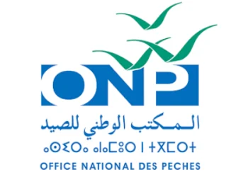 تراجع مبيعات الصيد المغربي 3% رغم انتعاش الرخويات
