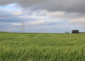 نشرة إنذارية…زخات رعدية محليا قوية مع تساقط البرد اليوم الأربعاء بعدد من مناطق المملكة