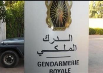 حجز كمية كبيرة من السمك المجمد وأحشاء الأبقار خلال عملية مراقبة للدرك الملكي بأمرزكان بورزازات