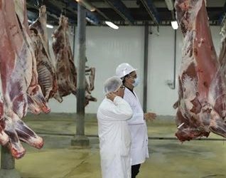 استعدادات مكثفة بالمجازر البلدية لاستقبال أضاحي عيد الأضحى