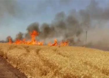 حري-ق مهول بالحقول الزراعية يودي بحياة أستاذة شابة بضواحي سطات