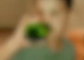 الفرقة الوطنية تقبض على المتهم الرئيسي في فيديو تحريض طفل على شرب الكحول