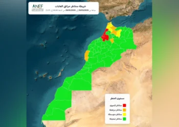الوكالة الوطنية للمياه والغابات تصدر خرائط تنبؤ تحدد بدقة المناطق الحساسة والمعرضة لخطر اندلاع الحرائق الغابوية