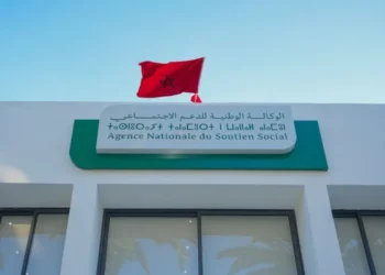 الوكالة الوطنية تكشف حصيلة 2025 لبرنامج الدعم المباشر…51 مليار درهم لدعم 3.9 ملايين أسرة