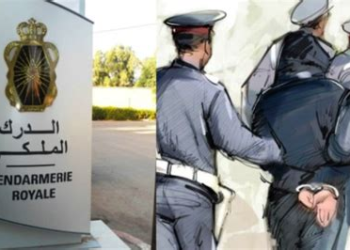 تفكيك عصابة إجرامية زرعت الخوف بمولاي بوسلهام وحجز مخدرات وأسلحة بيضاء