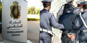 تفكيك عصابة إجرامية زرعت الخوف بمولاي بوسلهام وحجز مخدرات وأسلحة بيضاء