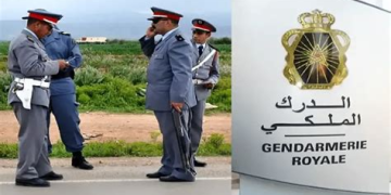 الدرك الملكي بطنجة يحبط عملية تهريب ضخمة ويحجز طنين ونصف من الشيرا