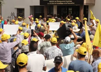 نقابة التعليم العالي تُعلن برنامجاً احتجاجياً يشمل إضرابات ومقاطعة للدخول الجامعي