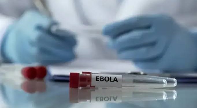 البرازيل تعزل شخصين للاشتباه في إصابتهما بفيروس إيبولا