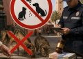 قانون جديد بالمغرب يمنع إطعام الحيوانات الضالة في الشارع و يفرض غرامات