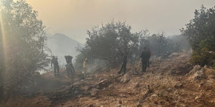 أزيلال..حريق غابة إنفرك تحت السيطرة وجهود متواصلة لإخماده نهائياً