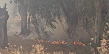 حري-ق  غابوي يستنفر الوقاية المدنية بمحيط مصحة السلايكي بفاس