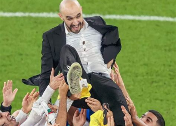 وفاء المغاربة للركراكي يتصدر المشهد بعد تأهل الأسود إلى ربع النهائي
