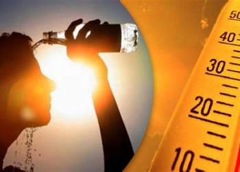 72 حالة متوسطة و490 حالة عادية.. وزارة الصحة تؤكد غياب الوفيات بسبب موجة الحر