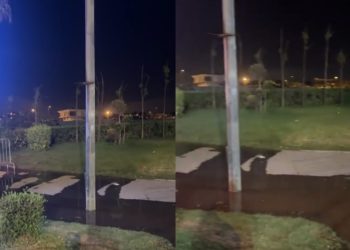 فاجعة بكورنيش عين الذياب.. صعقة كهربائية تنهي حياة طفل في الثامنة
