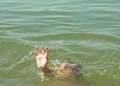 بركة للمياه العادمة تنهي-ي حياة طفل في برشيد