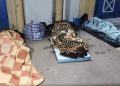 “بين الاكتظاظ وغلاء الكراء.. طلبة المغرب يواجهون مأزق السكن الجامعي”