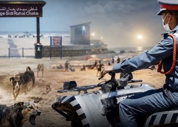إصاب-ة  عنصر من الدرك الملكي إثر انقلاب دراجة رباعية بسبب كلاب ضالة بسيدي رحال الشاطئ