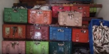 حملة رقابية ببركان تنتهي بحجز أكثر من طن من السردين الفاسد