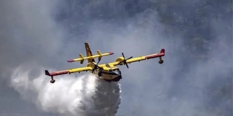 استثمار مبكر في طائرات “كندير” يمنح المغرب أفضلية في مواجهة حرائ-ق  الغابات