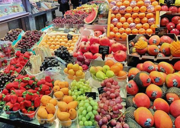 الصادرات الفلاحية الغذائية تعزز مكانة المغرب في الأسواق الدولية بارتفاع 38 في المائة خلال خمس سنوات