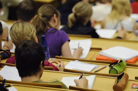 وزارة التعليم العالي تتجه لتنظيم دكتوراه الموظفين بشروط جديدة ورسوم موحدة