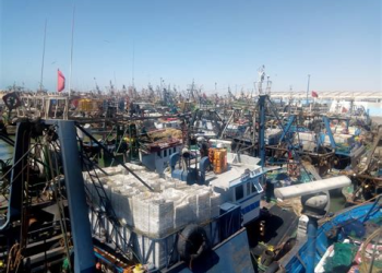 ميناء العيون يسجل ارتفاعا بـ56% في مفرغات الصيد خلال سبعة أشهر