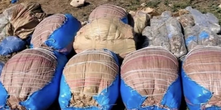 الدرك الملكي يُحبط محاولة لترويج 426 كيلوغراماً من المخدرات بإقليم الجديدة