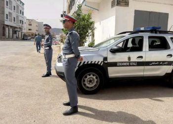 الدريوش.. حملة ميدانية للدرك الملكي لمراقبة مستعملي الطريق وتعزيز السلامة الطرقية