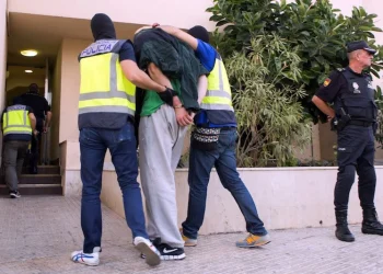 ضربة أمنية لشبكة تهريب المخد-رات بين المغرب وإسبانيا