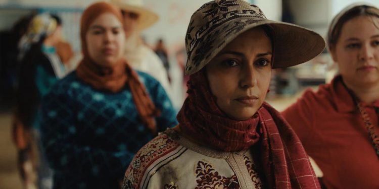 “توت الأرض” يمثل المغرب في سباق أوسكار 2027