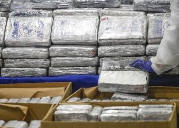 إيقاف شخص بفاس للاشتباه في حيازة ونقل 1.7 كيلوغرام من الكوكايين نحو الدار البيضاء