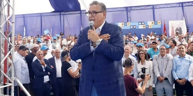 أخنوش: دعمنا 1.2 مليون كساب لحماية القطيع الوطني