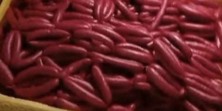 فاس.. حجز أزيد من 800 كيلوغرام من اللحوم والمواد الغذائية داخل ورشة سرية بالمسيرة
