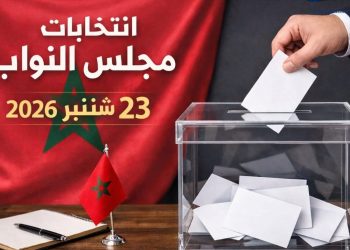 بعثة دولية تراقب انتخابات 23 شتنبر من العيون والداخلة بقيادة مسؤول أمريكي سابق