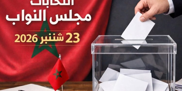 بعثة دولية تراقب انتخابات 23 شتنبر من العيون والداخلة بقيادة مسؤول أمريكي سابق