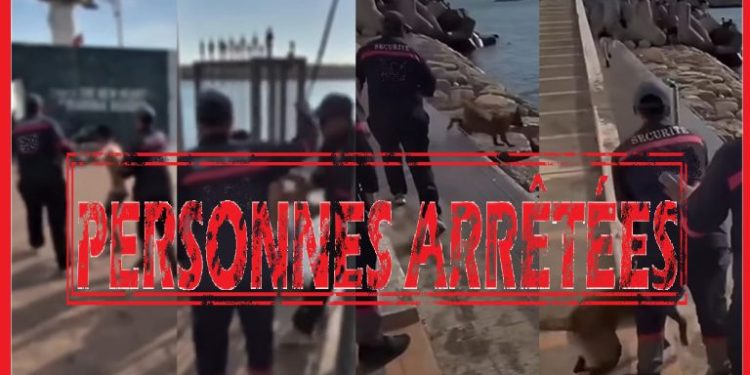 أكادير.. إحالة حارسي أمن خاص على النيابة العامة بعد تعنيف قاصر وتحريض كلب شرس على أطفال