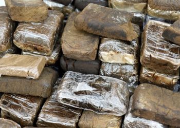 الدرك الملكي يُحبط محاولة لتهريب نحو طن ونصف من الشيرا بشاطئ كرام الضيف بإقليم آسفي